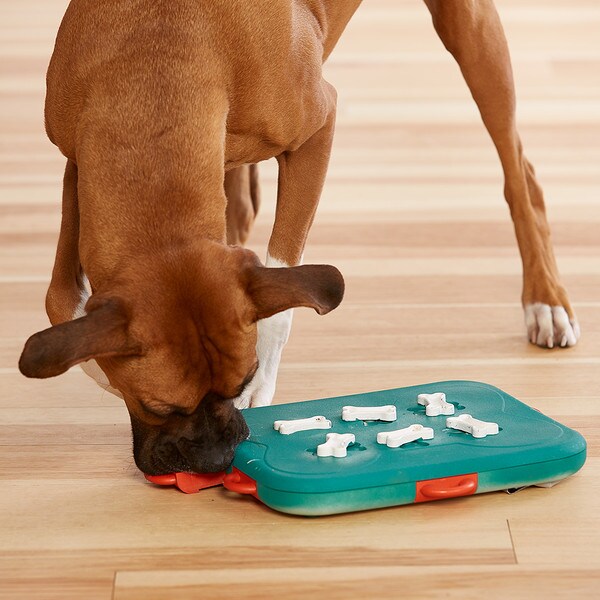 Dog Casino Interactive Treat Puzzle Dog Toy, Turquoise