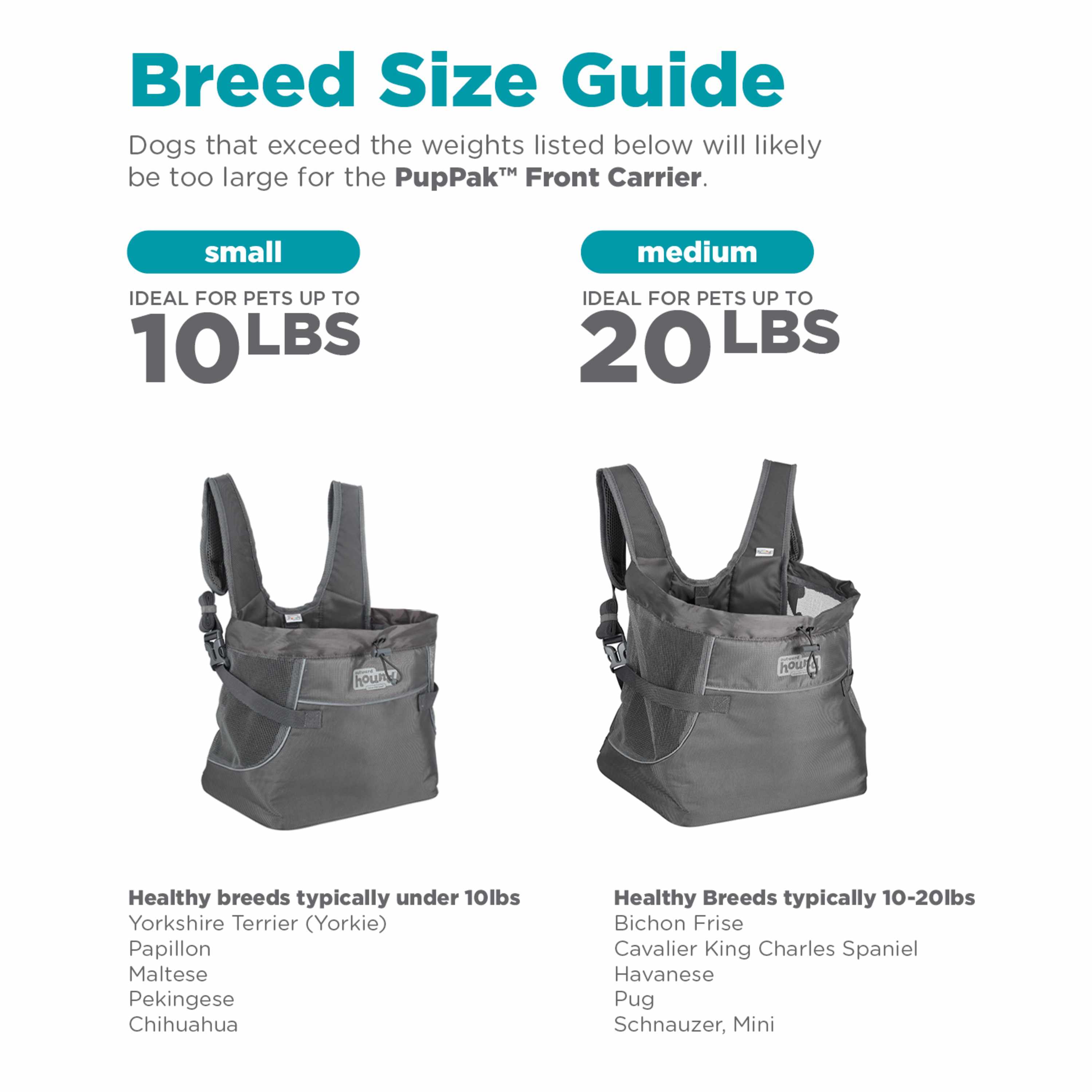 Large dog front carrier discount