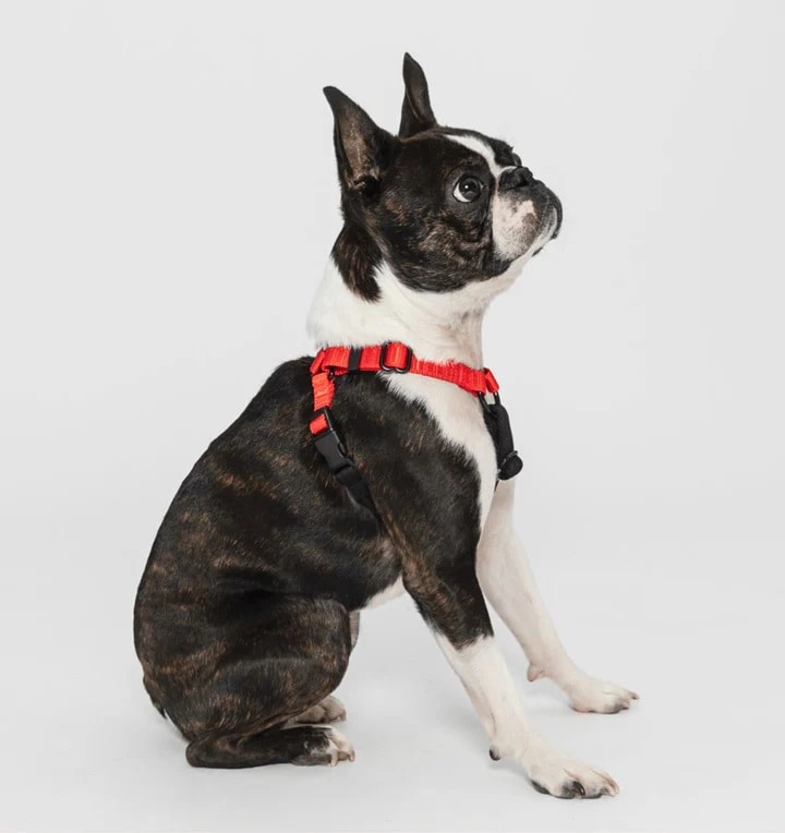 Rover Gear Better Walk No Pull Harness Red
