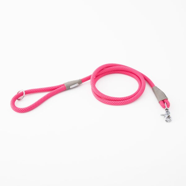 Zippy hot sale paws leash